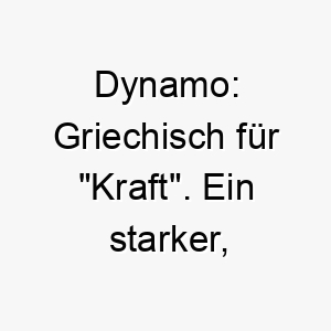 dynamo griechisch fuer kraft ein starker energiegeladener name fuer einen aktiven hund 17987