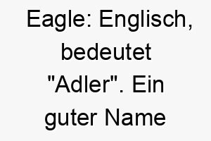 eagle englisch bedeutet adler ein guter name fuer einen majestaetischen oder anmutigen hund 18849