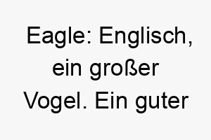 eagle englisch ein grosser vogel ein guter name fuer einen majestaetischen stolzen hund 19022