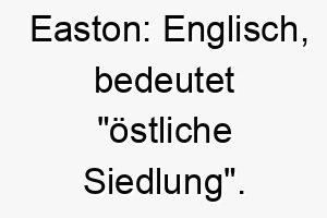 easton englisch bedeutet oestliche siedlung ein guter name fuer einen hund der aus dem osten stammt oder eine oestliche rasse ist 18897