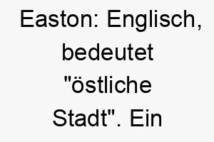 easton englisch bedeutet oestliche stadt ein guter name fuer einen hund der aus dem osten stammt oder besonders gerne nach osten ausgerichtet ist 18847