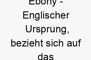 ebony englischer ursprung bezieht sich auf das schwarze holz bedeutung als hundename fuer einen starken robusten hund mit schwarzem fell 13945