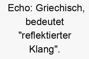 echo griechisch bedeutet reflektierter klang ein guter name fuer einen hund der auf kommandos gut reagiert 18660