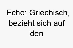 echo griechisch bezieht sich auf den reflektierten schall ein lustiger name fuer einen hund der gerne bellt oder heult 18713