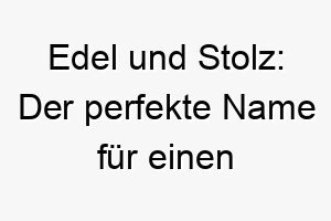 edel und stolz der perfekte name fuer einen eleganten hund namens noble 23708