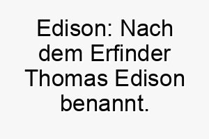 edison nach dem erfinder thomas edison benannt ein guter name fuer einen klugen hund 18663