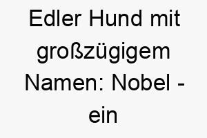 edler hund mit grosszuegigem namen nobel ein wortspiel voller eleganz 23262