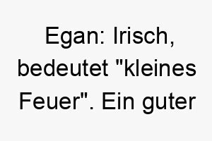 egan irisch bedeutet kleines feuer ein guter name fuer einen kleinen energiegeladenen hund 18892