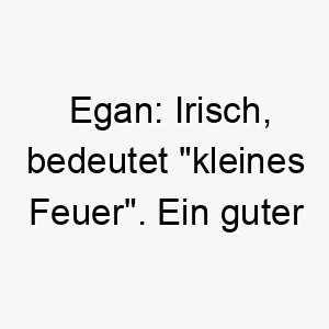 egan irisch bedeutet kleines feuer ein guter name fuer einen kleinen energiegeladenen hund 18892