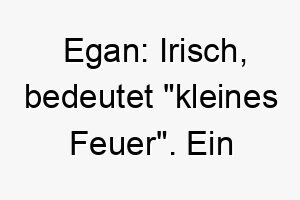 egan irisch bedeutet kleines feuer ein passender name fuer einen kleinen lebhaften hund 18844