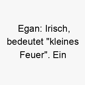 egan irisch bedeutet kleines feuer ein passender name fuer einen kleinen lebhaften hund 18844