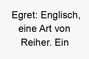 egret englisch eine art von reiher ein passender name fuer einen schlanken eleganten hund 19032