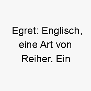 egret englisch eine art von reiher ein passender name fuer einen schlanken eleganten hund 19032