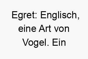 egret englisch eine art von vogel ein passender name fuer einen eleganten oder anmutigen hund 18865