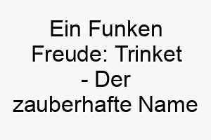 ein funken freude trinket der zauberhafte name fuer deinen treuen begleiter 26452