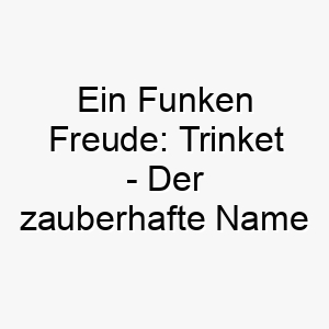 ein funken freude trinket der zauberhafte name fuer deinen treuen begleiter 26452