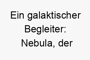 ein galaktischer begleiter nebula der leuchtende hund 23217