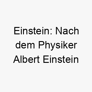 einstein nach dem physiker albert einstein benannt ein passender name fuer einen sehr klugen hund 18666