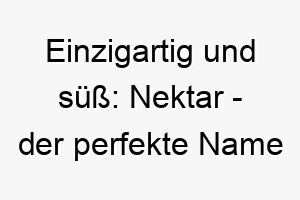 einzigartig und suess nektar der perfekte name fuer einen liebenswerten hund 23173