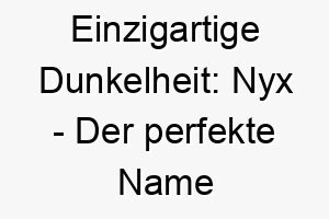 einzigartige dunkelheit nyx der perfekte name fuer deinen mysterioesen vierbeiner 23118