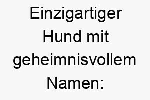 einzigartiger hund mit geheimnisvollem namen taboo das faszinierende tabu auf vier pfoten 26443