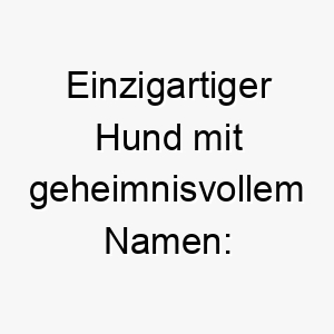 einzigartiger hund mit geheimnisvollem namen taboo das faszinierende tabu auf vier pfoten 26443