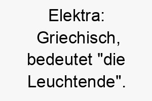 elektra griechisch bedeutet die leuchtende ein guter name fuer einen hund mit einer strahlenden persoenlichkeit oder einem leuchtenden fell 18668