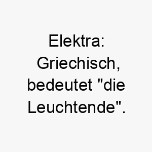 elektra griechisch bedeutet die leuchtende ein guter name fuer einen hund mit einer strahlenden persoenlichkeit oder einem leuchtenden fell 18668