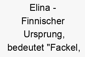 elina finnischer ursprung bedeutet fackel strahlend bedeutung als hundename fuer einen hellen strahlenden hund 13978