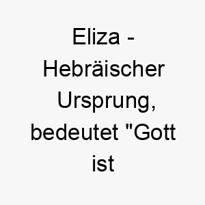 eliza hebraeischer ursprung bedeutet gott ist mein eid bedeutung als hundename fuer einen loyalen treuen hund 13988