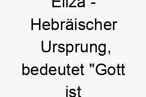 eliza hebraeischer ursprung bedeutet gott ist mein eid bedeutung als hundename fuer einen treuen zuverlaessigen hund 13946