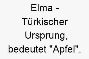 elma tuerkischer ursprung bedeutet apfel bedeutung als hundename fuer einen suessen entzueckenden hund 13959