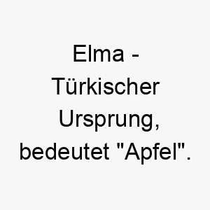 elma tuerkischer ursprung bedeutet apfel bedeutung als hundename fuer einen suessen entzueckenden hund 13959