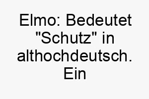 elmo bedeutet schutz in althochdeutsch ein suesser name fuer einen kleineren hund 18670