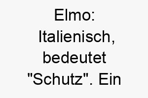 elmo italienisch bedeutet schutz ein passender name fuer einen wach oder schutzhund 18739