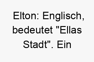 elton englisch bedeutet ellas stadt ein passender name fuer einen hund der ein wichtiger teil des haushalts oder der familie ist 19027