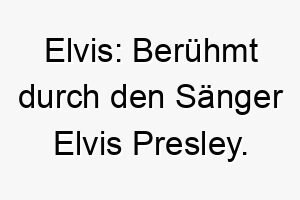 elvis beruehmt durch den saenger elvis presley ein grossartiger name fuer einen hund mit viel charisma 18671