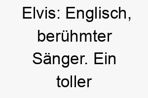 elvis englisch beruehmter saenger ein toller name fuer einen hund mit einer grossen persoenlichkeit 18879