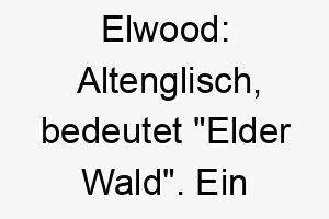 elwood altenglisch bedeutet elder wald ein natuerlicher name fuer einen hund der die natur und das wandern liebt 18714