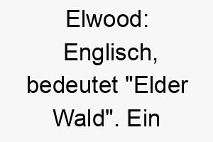 elwood englisch bedeutet elder wald ein passender name fuer einen hund der die natur liebt 18848