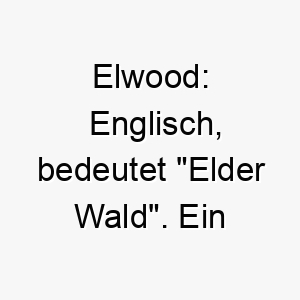 elwood englisch bedeutet elder wald ein passender name fuer einen hund der die natur liebt 18848