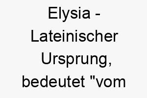 elysia lateinischer ursprung bedeutet vom elysium bedeutung als hundename fuer einen gluecklichen paradiesischen hund 13961