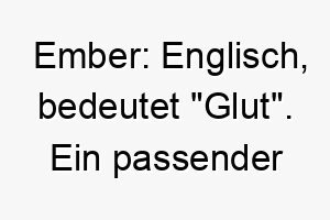 ember englisch bedeutet glut ein passender name fuer einen hund mit einer warmen liebevollen persoenlichkeit 18878