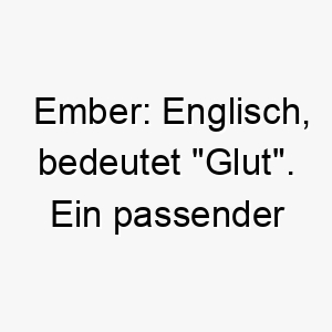 ember englisch bedeutet glut ein passender name fuer einen hund mit einer warmen liebevollen persoenlichkeit 18878