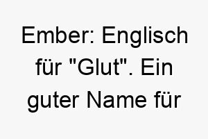 ember englisch fuer glut ein guter name fuer einen hund mit einer feurigen persoenlichkeit oder einem roetlichen fell 18672