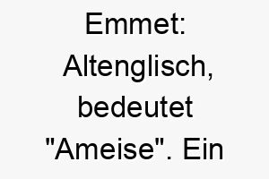 emmet altenglisch bedeutet ameise ein lustiger name fuer einen kleinen energischen hund 18875