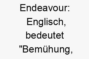 endeavour englisch bedeutet bemuehung anstrengung ein guter name fuer einen fleissigen bemuehten hund 19036