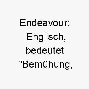 endeavour englisch bedeutet bemuehung anstrengung ein guter name fuer einen fleissigen bemuehten hund 19036