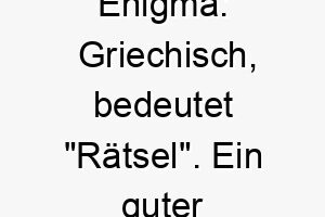 enigma griechisch bedeutet raetsel ein guter name fuer einen mysterioesen unergruendlichen hund 19028