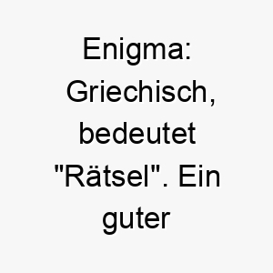 enigma griechisch bedeutet raetsel ein guter name fuer einen mysterioesen unergruendlichen hund 19028